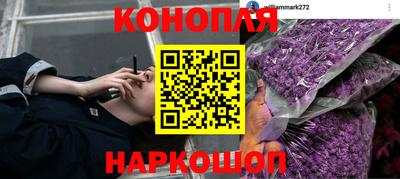 ПСИЛОЦИБИНОВЫЕ ГРИБЫ Будённовск