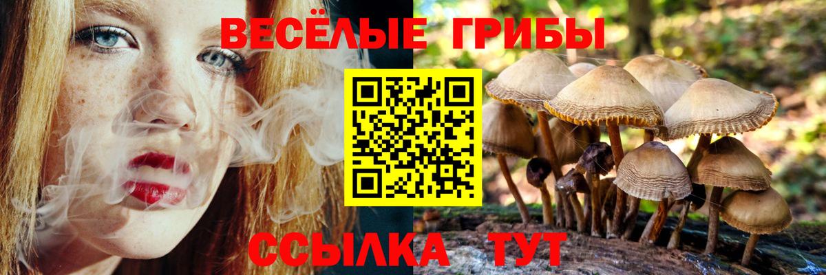 Псилоцибиновые грибы Magic Shrooms Тюмень